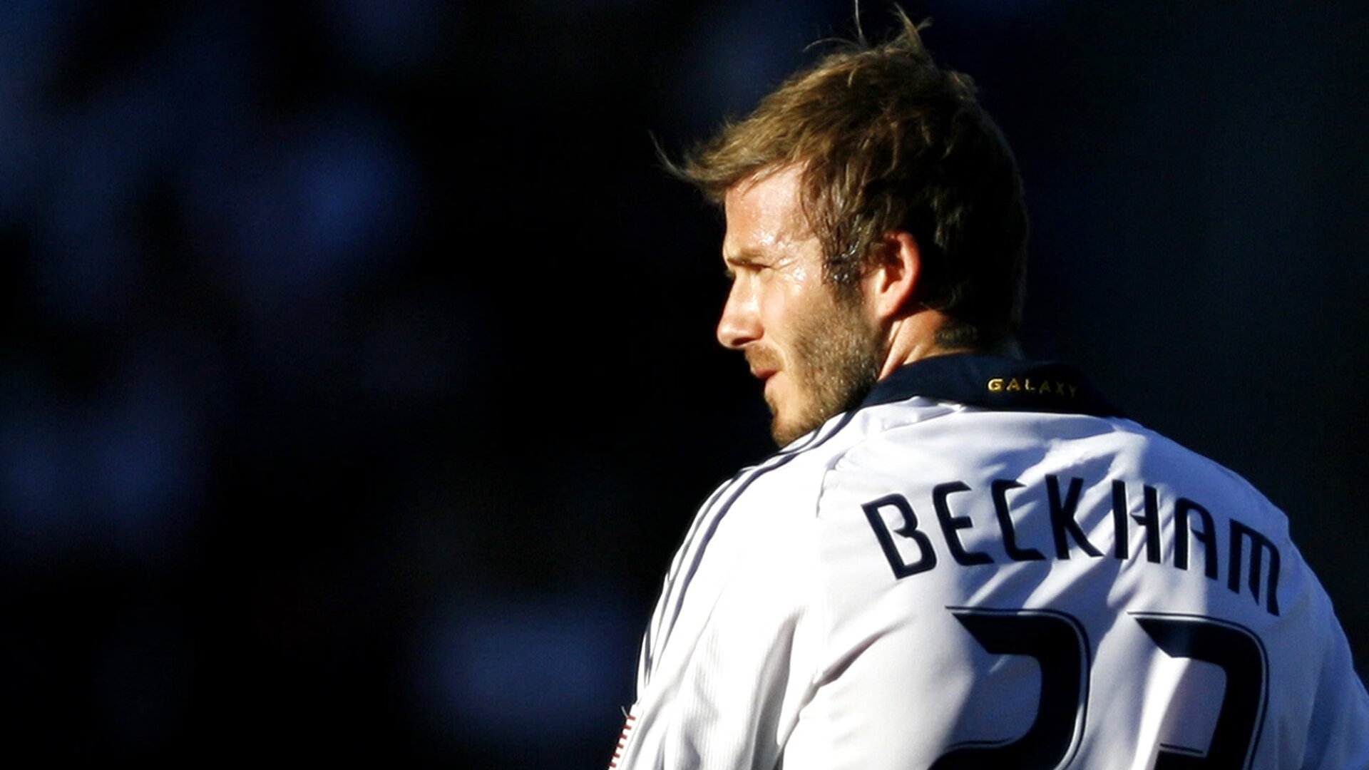 _极地冰原极限跑：追逐白雪的速度梦想_，极地冰在哪里